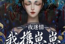 一夜迷情，我携崽崽俘获他完整版小说，一夜迷情，我携崽崽俘获他云素予段凌霁全章小说阅读-冰糖文学