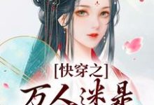 快穿之万人迷是扬州瘦马完整版小说,快穿之万人迷是扬州瘦马苏栀栀齐璟全章小说阅读-冰糖文学