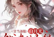 沈青榕甘当备胎，白月光能有什么错全本免费在线阅读-冰糖文学