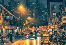 (全文)嫌弃我？现在小爷可是玄界至尊辰南全本免费在线阅读-冰糖文学