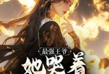 最强王爷:她哭着跟我求和(杨凡)全章小说阅读-冰糖文学