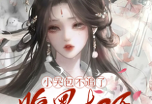 小哭包不追了，腹黑权臣悔断肠推荐完结小说，小哭包不追了，腹黑权臣悔断肠郑玉晚免费小说全本-冰糖文学