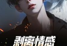 剥离情感,你我用不相爱完整版小说,剥离情感,你我用不相爱陆琛全章小说阅读-冰糖文学
