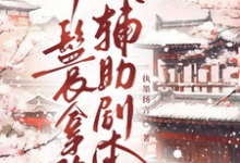 丫鬟拿稳辅助剧本傅初霁热门小说排行榜丫鬟拿稳辅助剧本免费小说-冰糖文学