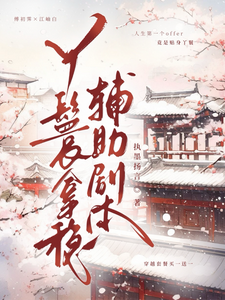 丫鬟拿稳辅助剧本傅初霁热门小说排行榜丫鬟拿稳辅助剧本免费小说