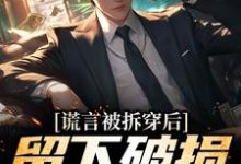 谎言被拆穿后，留下破损的婚姻张齐完结小说推荐谎言被拆穿后，留下破损的婚姻全本书籍阅读-冰糖文学