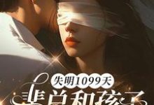 (全文)失明1099天，裴总和孩子我都不要了谢南枝完结小说推荐失明1099天，裴总和孩子我都不要了试读更新章节-冰糖文学