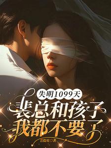 (全文)失明1099天，裴总和孩子我都不要了（谢南枝）全本书籍阅读失明1099天，裴总和孩子我都不要了免费小说全本