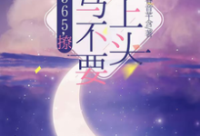 (全文)365,撩:竹马不要太上头王拾初小说推荐,365,撩:竹马不要太上头全章小说阅读-冰糖文学