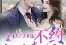 (全文)多年后的重逢，不约，姐有男友（禾念安池少东）免费小说多年后的重逢，不约，姐有男友试读更新章节-冰糖文学