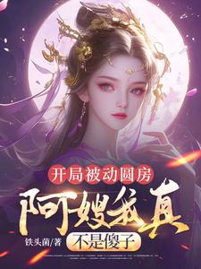 开局被动圆房，阿嫂我真不是傻子完整版小说开局被动圆房，阿嫂我真不是傻子(许修年)全章小说阅读