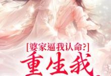 云筝婆家逼我认命?重生我踹翻花轿全本免费在线阅读-冰糖文学