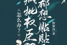(全文)怎么办？疯批权臣每天都想贴贴我(顾轻舟)全本免费在线阅读-冰糖文学