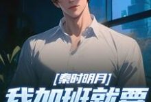 (全文)秦时明月：我加班就要被扣经验值（赵子珏）免费小说秦时明月：我加班就要被扣经验值试读更新章节-冰糖文学