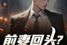前妻回头?可惜,迟了!(秦风)全章小说阅读-冰糖文学