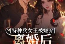 (全文)特种兵女王被嫌弃，离婚后马甲爆了乔沁顾沉霆小说推荐，特种兵女王被嫌弃，离婚后马甲爆了全章小说阅读-冰糖文学