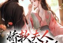 娇软夫人不再撒娇后，侯爷他慌了完整版小说娇软夫人不再撒娇后，侯爷他慌了(乔嫚宁祈)全章小说阅读-冰糖文学