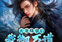 天龙珠拿后，我御万道吞四海推荐完结小说天龙珠拿后，我御万道吞四海(江尘)免费小说全本-冰糖文学