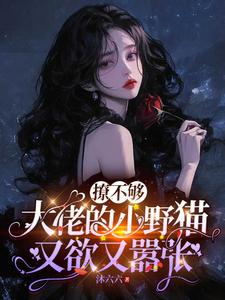 撩不够，大佬的小野猫又欲又嚣张（陆晨矅）全章小说阅读