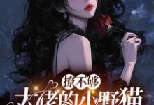 撩不够，大佬的小野猫又欲又嚣张（陆晨矅）全本书籍阅读撩不够，大佬的小野猫又欲又嚣张完整版小说-冰糖文学