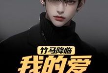 竹马降临，我的爱瞬间扫地（江书正）全章小说阅读-冰糖文学