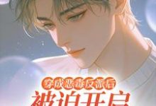 穿成恶毒反派后被迫开启修罗场推荐完结小说穿成恶毒反派后被迫开启修罗场(沈齐云)免费小说全本-冰糖文学