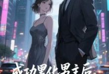 (全文)快穿：男主事业心呢，怎么全是恋爱脑（迦扬厄洛斯）试读更新章节快穿：男主事业心呢，怎么全是恋爱脑免费小说-冰糖文学