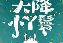 天降小丫鬟(夏夏)全章小说阅读-冰糖文学