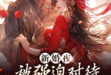 新婚夜被强迫对待，这叫不近女色？热门小说排行榜新婚夜被强迫对待，这叫不近女色？谢临珩虞听晚免费小说全本-冰糖文学