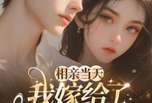 相亲当天,我嫁给了京都首富推荐完结小说,相亲当天,我嫁给了京都首富蓝冉免费小说全本-冰糖文学