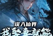 (全文)误入仙界，我娶妻就能天下无敌完结小说推荐许世安全本书籍阅读-冰糖文学