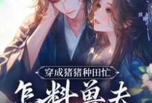 穿成猪猪种田忙，怎料兽夫太黏猪（穆九溪）全章小说阅读-冰糖文学