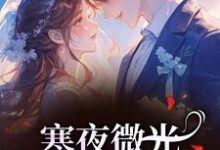 寒夜微光：她的逆袭人生袁小苔最新完结小说，寒夜微光：她的逆袭人生全本免费在线阅读-冰糖文学