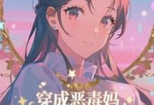 (全文)穿成恶毒妈,我氪金养出顶流娃叶晓琳全本免费在线阅读-冰糖文学
