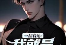 (全文)一品官运：我就是无冕之王（陈飞宇）免费小说一品官运：我就是无冕之王试读更新章节-冰糖文学