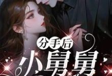 (全文)分手后，小舅舅夜夜洗床单免费小说全本，沈锦悦试读更新章节-冰糖文学