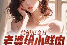 结婚纪念日，老婆给小鲜肉打榜应援叶一帆最新完结小说，结婚纪念日，老婆给小鲜肉打榜应援全本免费在线阅读-冰糖文学