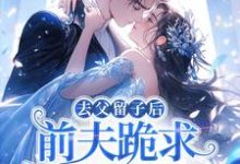 去父留子后，前夫跪求伺候我月子！最新完结小说去父留子后，前夫跪求伺候我月子！林亦棠免费小说-冰糖文学