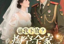(全文)逼我下放？掏空全家挺孕肚随军去桑榆晚小说推荐，逼我下放？掏空全家挺孕肚随军去全章小说阅读-冰糖文学