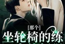 江北生那个坐轮椅的练习生他超强全本免费在线阅读-冰糖文学