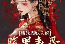 娇软表妹入府：腹黑表哥沦陷了推荐完结小说，娇软表妹入府：腹黑表哥沦陷了沈云婉免费小说全本-冰糖文学