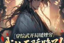 穿综武开局矮矬穷，我让天骄跪了！武直热门小说排行榜穿综武开局矮矬穷，我让天骄跪了！免费小说-冰糖文学