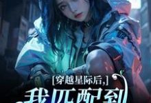 (全文)穿越星际后，我匹配到九个大冤种（洛千）全本书籍阅读穿越星际后，我匹配到九个大冤种免费小说全本-冰糖文学