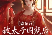 (全文)惑东宫:被太子囚宠后,她权倾天下陆菀音全本免费在线阅读-冰糖文学
