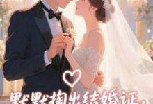默默掏出结婚证,我的老公好奶最新章节阅读默默掏出结婚证,我的老公好奶(宋禧)试读更新章节-冰糖文学