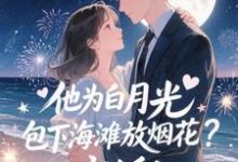 他为白月光包下海滩放烟花?离婚!霍宴州云初热门小说排行榜他为白月光包下海滩放烟花?离婚!免费小说-冰糖文学