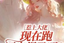 (全文)惹上大佬，现在跑还来得及吗？完结小说推荐林媛全本书籍阅读-冰糖文学