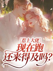 惹上大佬，现在跑还来得及吗？推荐完结小说惹上大佬，现在跑还来得及吗？(林媛)免费小说全本