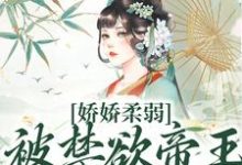 娇娇柔弱，被禁欲帝王强制囚宠宋泱裴慎免费小说娇娇柔弱，被禁欲帝王强制囚宠推荐完结小说-冰糖文学