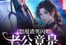 怒甩渣男闪婚，老公竟是千亿太子爷云晚完结小说推荐，怒甩渣男闪婚，老公竟是千亿太子爷全章小说阅读-冰糖文学